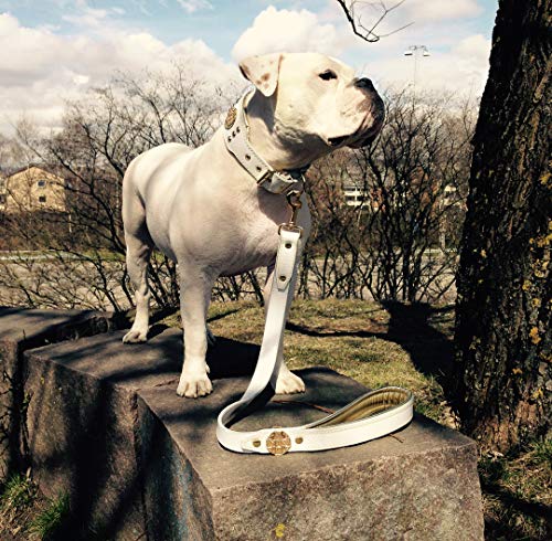 Bestia Maximus - Collar de perro de piel auténtica, razas grandes, corso de caña, Rottweiler, Boxer, Bullmastiff, Dogo, collar de perro de calidad, 100% piel, tachonado, tamaño L-XXL, 2,5 pulgadas de ancho, acolchado. Fabricado en Europa.