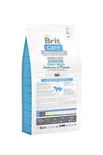 Brit Care Grain-Free Junior Large Breed Salmon & Potato Comida para Perros - 12000 gr