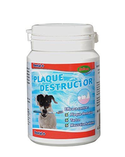 Bubimex - Destructor de Placa dentífrica para Perro