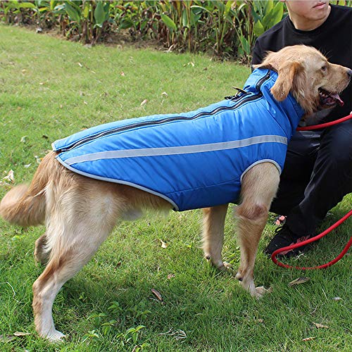 BVAGSS Waterproof Reflectante Cálido Acolchado búfer Chaleco Cachorros Chubasquero para Mascotas Gato Perro XH016