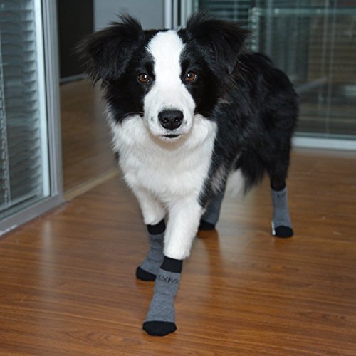 Calcetines antideslizantes para perros, de Expawlorer, para uso interior, protección para las patas