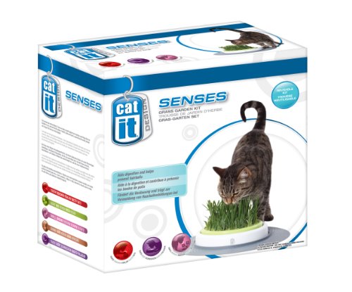 Catit Design Senses – Juego de Hierba para Gatos
