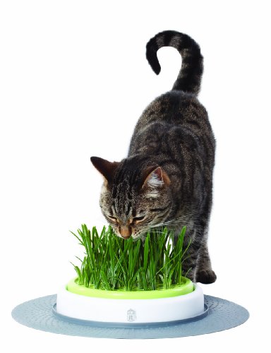 Catit Design Senses – Juego de Hierba para Gatos