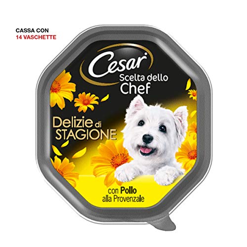 Cesar elección del Chef delicias de Temporada con Pollo A La provenzal – Paquete de 14 Unidades