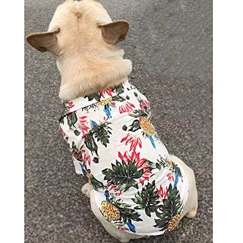 CIDCIJN Ropa para Mascotas,Primavera Otoño Perro Mascota con Ropa Blanca De Algodón Camiseta Perros Perro Mascota Puppy Ropa Ropa para Perros Pequeños Chihuahua Traje,L