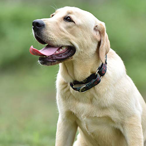 Collar de perro Martingale de doble anillo mejorado duradero para cachorros de perros pequeños que caminan y adiestran etiquetas y accesorios de identificación adjunta (Pequeño S, Verde ciruelo flor)