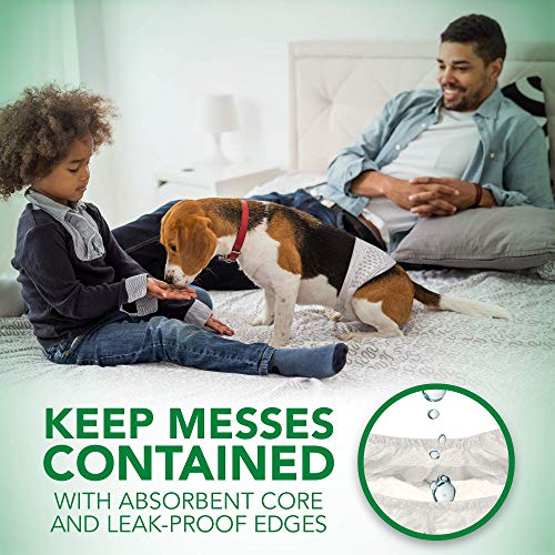 Comfort Fit Disposable Male Dog Diapers | Envolturas masculinas absorbentes con ajuste a prueba de fugas | Medio 12Pk