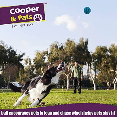 Cooper & Pals Bolas de Goma para Perros (Juguetes Fuertes para Perros) Paquete de 2 Rosado Azul