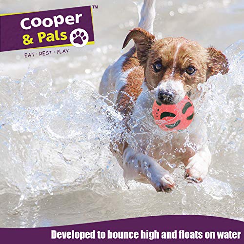 Cooper & Pals Bolas de Goma para Perros (Juguetes Fuertes para Perros) Paquete de 2 Rosado Azul
