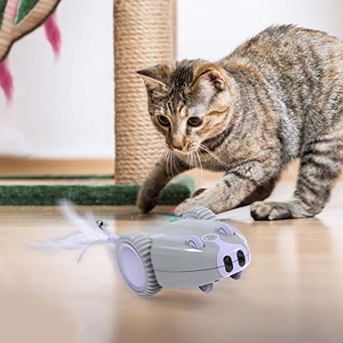 DADYPET Juguete para Gatos Robótico Interactivo,Forma de Mouse Movimiento Automático Irregular,USB Recargable Electrónico Juguetes Gatos con 5 Plumas