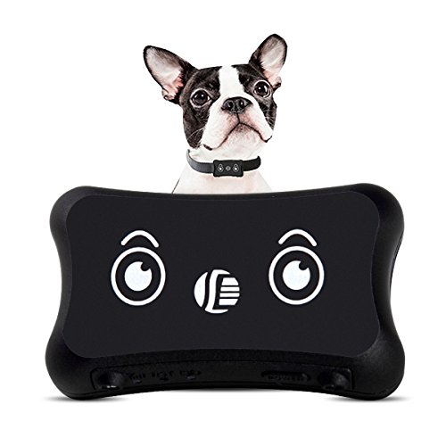 DAGPS Monitor de Actividad para Perros GPS para Android/iPhone, Resistente al Agua y Ajustable para Todos los tamaños de Perros