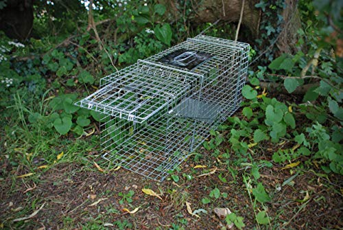 Defenders Animal Trap Cage - (Trampa humana fácil de instalar para conejos, gatos y fauna silvestre de tamaño similar, apta para uso en interiores y exteriores) - Tamaño grande