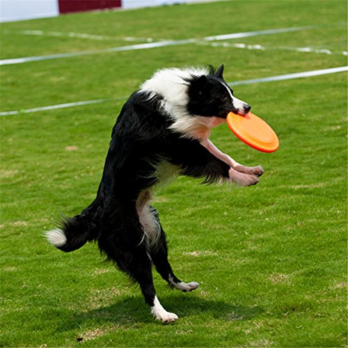 Demarkt Masticar Juguetes Juguete para Perros Perro de Silicona de Formación Disco de Vuelo de Dientes Resistentes Mascotas para Perro Ejercicio