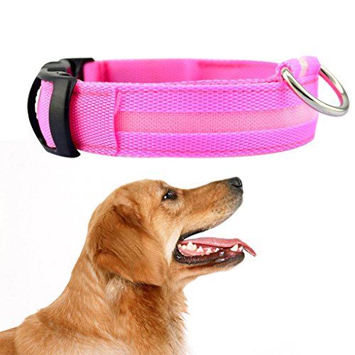 Demino LED Pet Dog Collar Flashing Glow Dog Leash LED Dog Neck Belt Collars Pet Fluorescent Cat Neck Belt Rope Cord