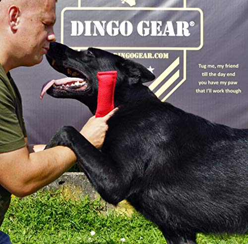 Dingo Gear - Remolcador para Entrenamiento de Perros