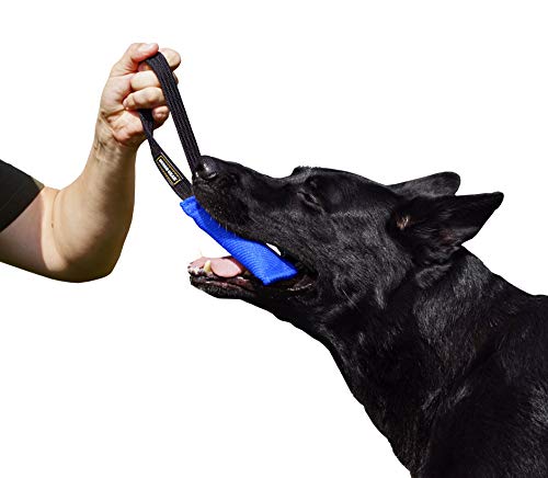 Dingo Gear - Remolcador para Entrenamiento de Perros