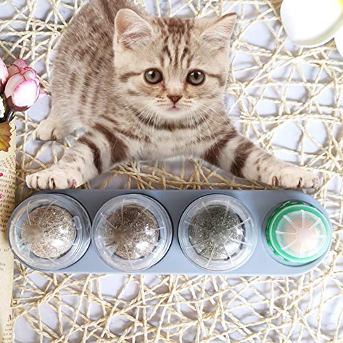 DishyKooker Bola giratoria de hierba gatera saludable, comestible, para tratar los dientes de gato, juguete de color al azar