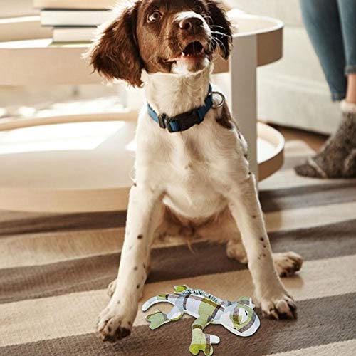 Dream-cool Pet Puppy Dog Chew Toy, Lindo Chirrido De Muñeca De Simulación De Felpa, para Limpiar Los Dientes Y Divertirse Lovely