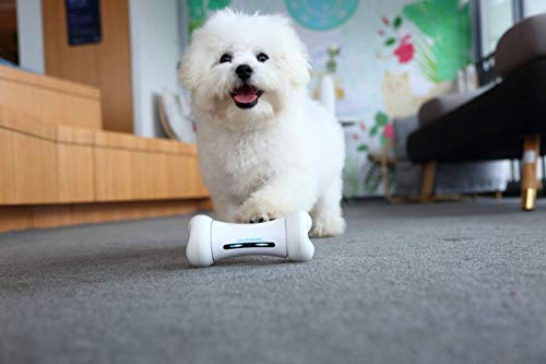 duschhocker-MYN Wickedbone Smart Pet Interacción Emocional Bone Toy Smart Dog Cat Toys El Control de la Aplicación Puede Responder a Las Emociones de la Mascota Toy for Dog