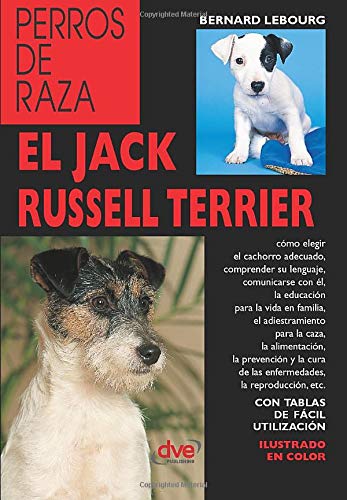 El jack russell terrier