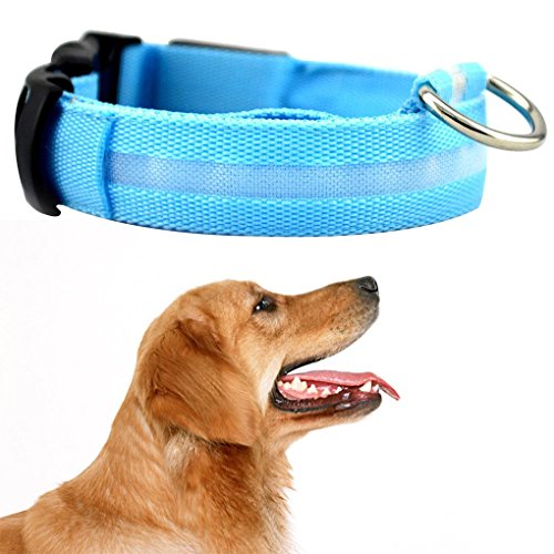 Elenxs Collar de Perro para Mascotas Nueva LED Parpadeante Correa del Perro del Resplandor de la Correa de Cuello Collares para Mascotas Fluorescente Gato Cuello Cinturón de Cuerda Cordón Azul XS