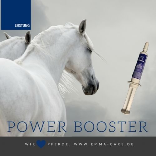 ♥ EMMA Vitamin Booster for Horses - Suplementos nutricionales - Pasta oral con vitaminas B para caballos, B12, B6, B2, B1 I Vitamina E, A, D Zinc, Minerales, Oligoelementos 3 Pc.