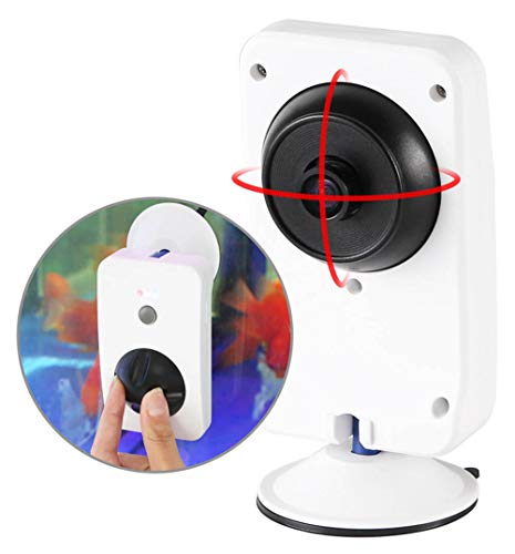EP-Camera Cámara de Seguridad 1080P, cámara de vigilancia remota para Smartphone con Tanque de Peces de Acuario