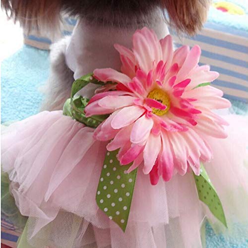 FDCLD Transer Perro Vestido Princesa Gasa de Malla de Encaje Tutu Vestidos sin Mangas Camiseta Ropa para Perros con Girasol para Mascotas pequeñas Perros Venta por Mayor 25X35 cm Flor