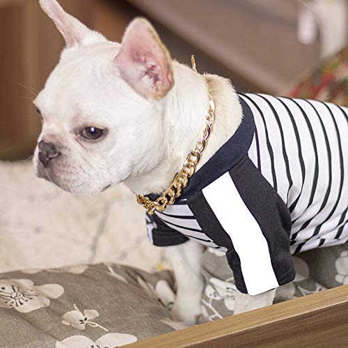 Fnsky - Cadena de Oro Grueso para Perros, Collar de Seguridad para Mascotas, Collar de Cadena Ajustable Punk Chapado en Oro para Perro, 55 cm