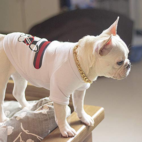Fnsky - Cadena de Oro Grueso para Perros, Collar de Seguridad para Mascotas, Collar de Cadena Ajustable Punk Chapado en Oro para Perro, 55 cm