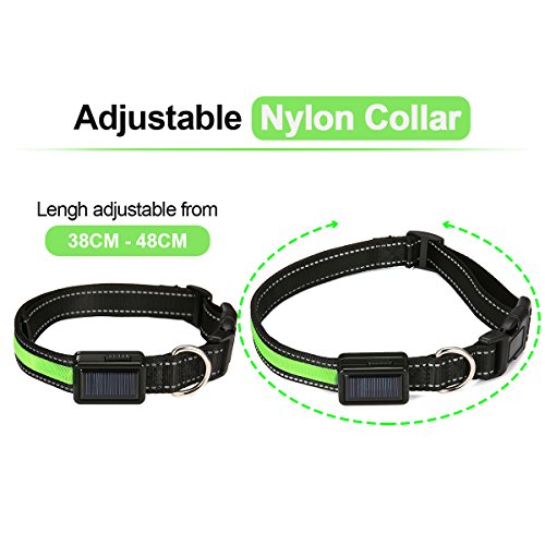 Focuspet Collar LED para Perros, Collar de Collar Luminoso para Perros con LED USB y Collar de Seguridad para Cuello y Collar Ajustable.38-48cm Verde M