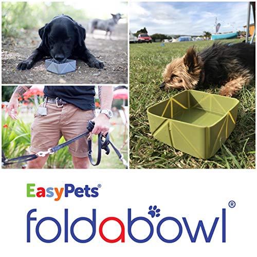 FOLDABOWL - Cuenco de Viaje para Perro Cuenco Plegable portátil con Clip de caribena, para Caminar, Senderismo y Camping con Perros
