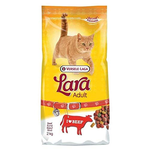 Global Pienso para Gatos 2 kgs | Comida para Gatos Lara con Buey | Alimento seco para Gatos