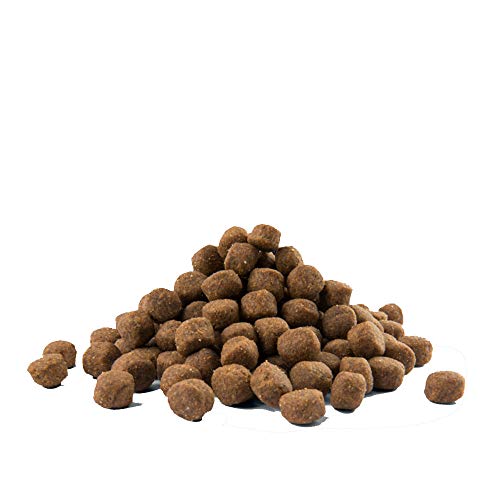 Global Pienso para Perros OPTI Life Puppy Maxi con Pollo y arroz | Pienso para Cachorros de Raza Grande Versele Laga | Comida para Perros 12,5 kgs