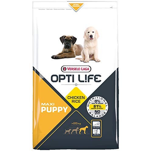 Global Pienso para Perros OPTI Life Puppy Maxi con Pollo y arroz | Pienso para Cachorros de Raza Grande Versele Laga | Comida para Perros 12,5 kgs