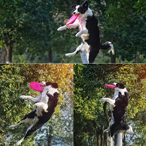 GOUSHENG Frisbees Perros Juguetes Juego De Entrenamiento De Perros De Silicona Blanda Juego De Entrenamiento De Perros De Silicona Blanda Para Perros Voladores Juguete Para Perros De Juguete Para Perr