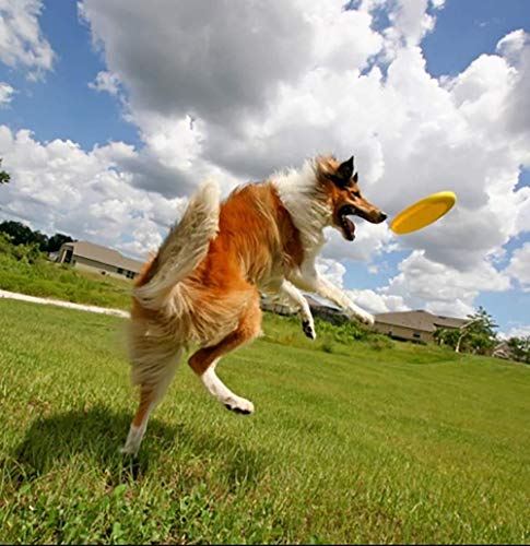 GOUSHENG Frisbees Perros Juguetes Juguete para Perros Voladores De 2 Piezas para Perros, Juguete para Mascotas Blando con Discos Voladores Disco De Vuelo Diente Resistente Al Aire Libre Entrenamiento