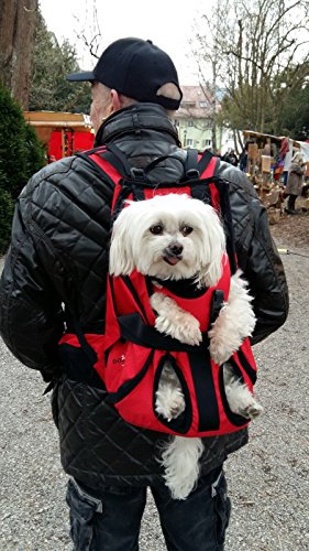 GRAN Bolsa para perros / Arnés de transporte para perros/ mochila para perros / portador de perros / bolsa para perros / mochila para perros / bolsa para perros de 7-16kg
