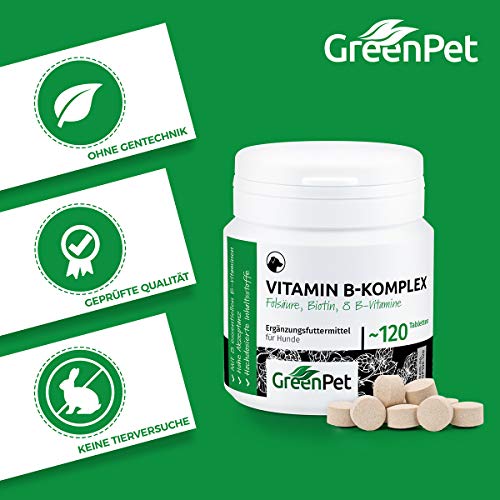 GreenPet Complejo de Vitamina B Perros - 8 vitaminas B, biotina, ácido fólico, minerales, Alta dosis para Perros Viejos (Senior), jóvenes y Cachorros, 4 Meses