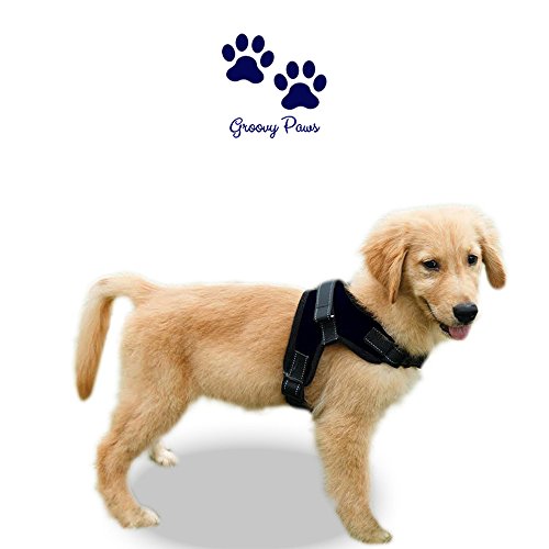 GroovyPaws - Arnés para perro que no tire reflectante, ajustable, para perro o collar, chaleco de servicio, chaleco acolchado para el cuerpo del perro, arnés para caminar con asa (S)