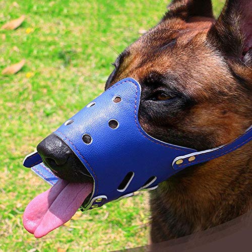 Gulunmun Bozal de Cuero Ajustable para Perros Productos para adiestramiento de Perros Anti-mordidas para Perros pequeños, medianos y Grandes Productos para Mascotas al Aire Libre: Azul, XS