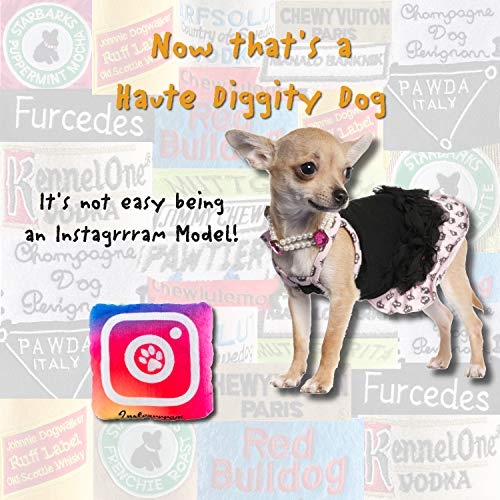 Haute Diggity Dog Colección Fashion Hound | Juguetes de Felpa chirriantes únicos para Perros, pasión por la Moda (Accesorios).