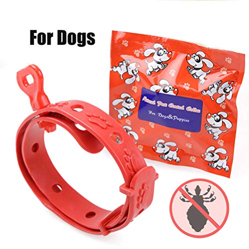 Hihey Collar de Perro para Perros Collar de pulgas Mascotas, Defensa Herbal contra pulgas y garrapatas para Perros y Gatos, Deja de Picar y Pica, Mata Mosquitos, garrapatas