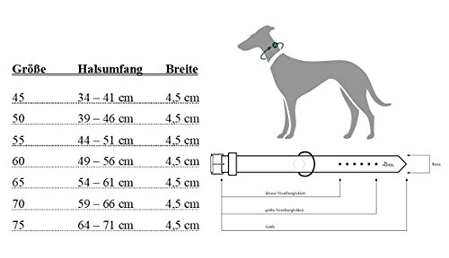Hunter Collar de Neopreno Reflectante, para Perros, Azul, Tamaño 60, 49 - 56 cm, 45 mm
