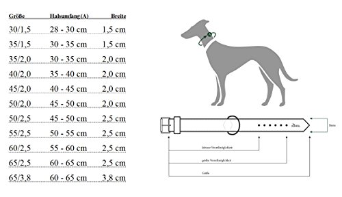 HUNTER - Collar de Nylon Modelo Neoprene Vario Plus para Perros (45/Verde/Negro)