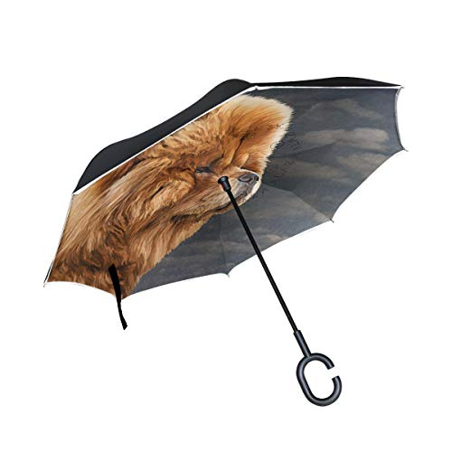 HYJDZKJY Paraguas invertido de Doble Capa Cars Paraguas inverso Chow Dog Vintage a Prueba de Viento UV a Prueba de Paraguas para Exteriores