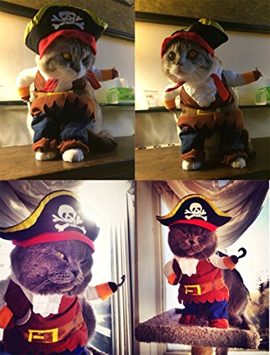 Idepet Pirata del Caribe Disfraz de Gato Funny Dog Ropa para Mascotas Traje Corsair Viste a la Fiesta Ropa de Fiesta para Perros Gato Plus Sombrero (S)