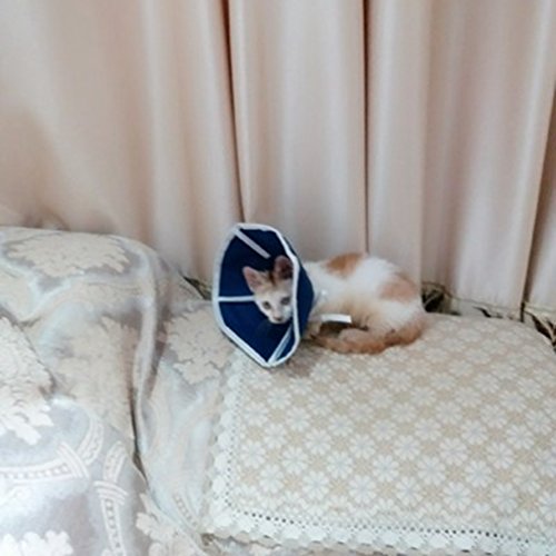 JEELINBORE Collares y Conos de Recuperación de Tela Ligero Protector Collarín para Perros y Gatos (Azul, Diámetro: 25.4cm)
