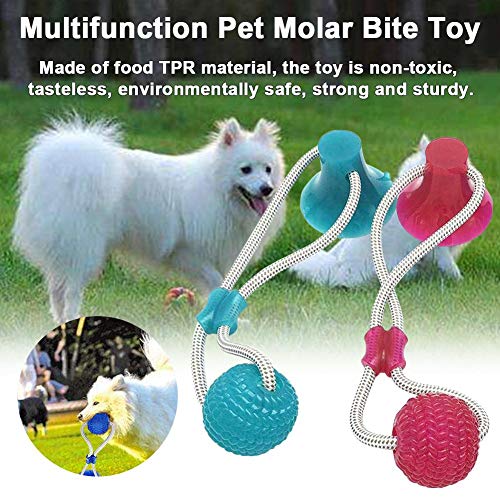 Juguete de mordida molar multifuncional para mascotas, juguete de pelota de goma actualizado Bloomma 2020 con ventosa para masticar dientes de limpieza para perros pequeños y medianos