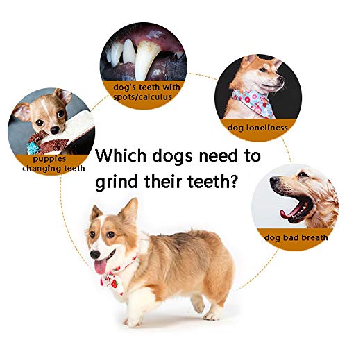 Juguete interactivo para perro, juguete para masticar perro, limpieza / perforación de muela / cachorros que cambian de dientes, resistente a mordidas flexibles, balón de entrenamiento, diseño geométr